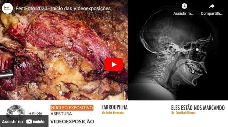 Read more about the article Start Point of video exhibitions 2020
