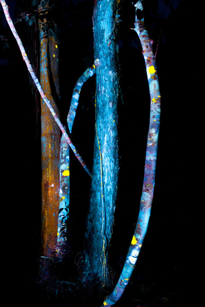 4_KittyParanagua